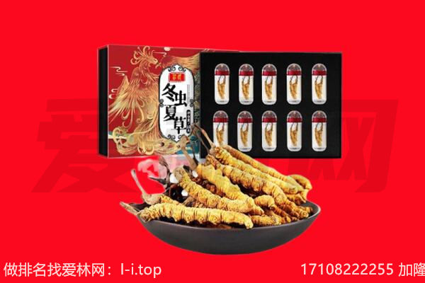 临洮冬虫夏草回收